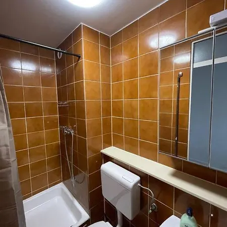 Renewed One Bedroom On A Good Location Liubliana