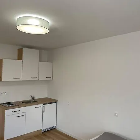 Apartman Renewed One Bedroom On A Good Location Ljubljana